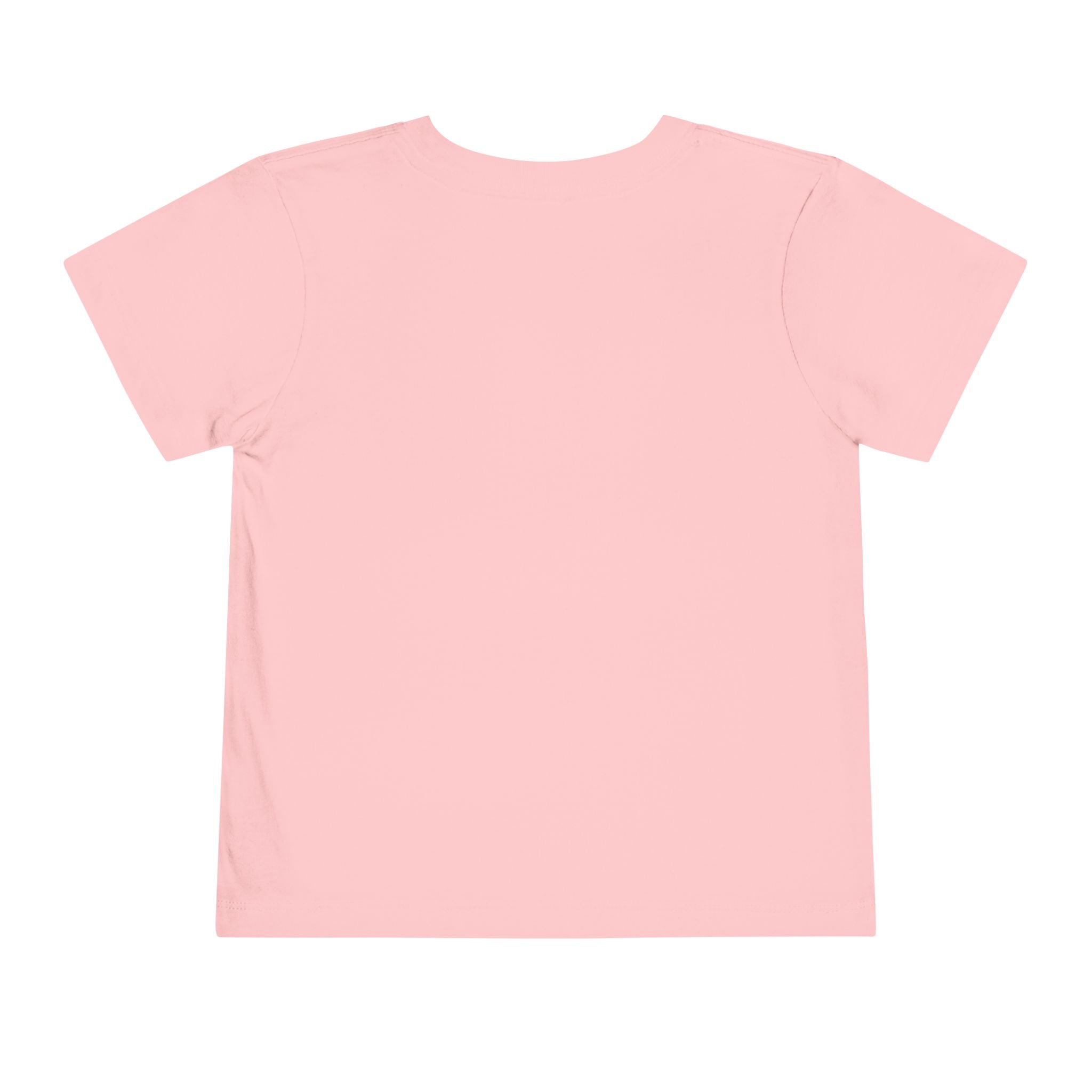 "Flying My Way"-Gentle Toddler T-shirt
